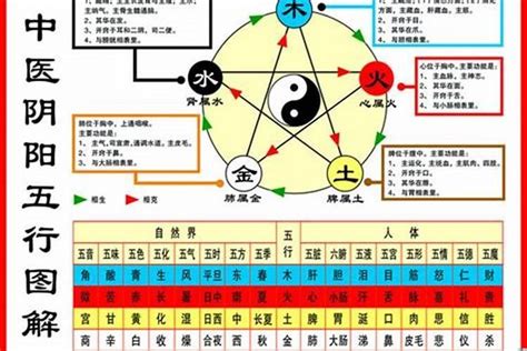 84年属什么|1984年1月出生属什么生肖